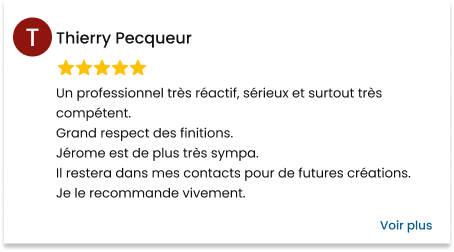 Avis Google