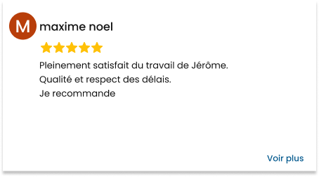 Avis Google
