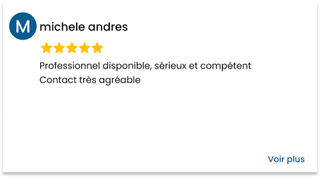 Avis Google