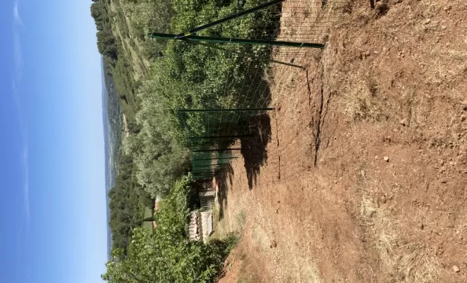 Création d'une clôture "anti sanglier" sur restanques, Clermont-l'Hérault, ABJ ENVIRONNEMENT